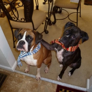 Bentley's arm around Gunner's shoulder