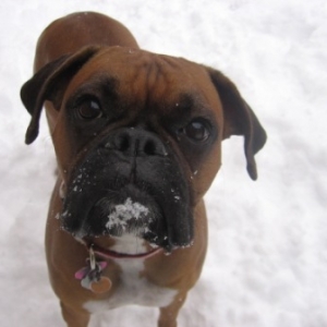 Snow day!