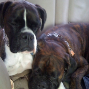 Sleepy Car Ride Home