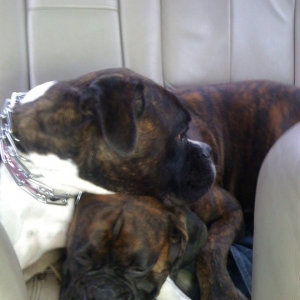 Heads Down Sleeping