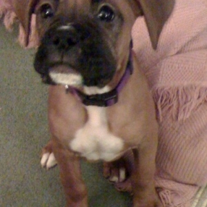 baxter5