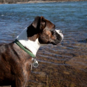 Day at the River