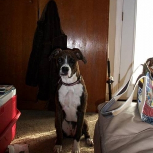 Bentlee Looking So Pretty