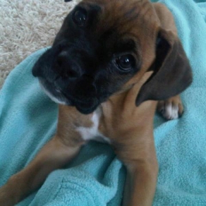 Curious Lucy