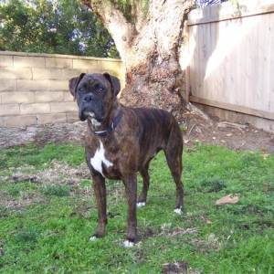 Happy_5_Year_Old_Birthday_Syd