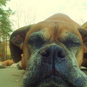 Snoozing5