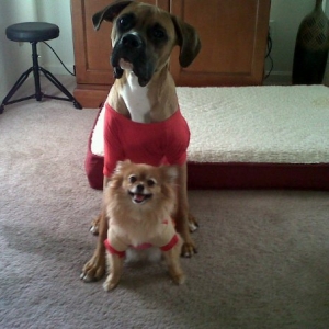 cooper_and_winston_with_shirts_on