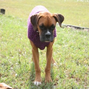 Ebby 6 Months