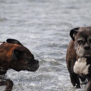 Copy_of_march_2011_056_Small_