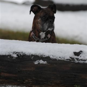 january_2011_152_Small_