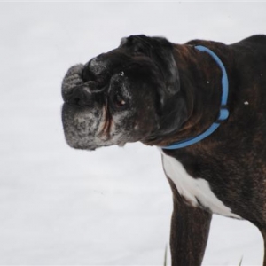 january_2011_122_Small_