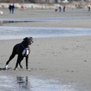 march_2011_053_Small_