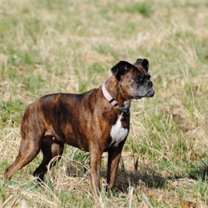 march_2011_161_Small_