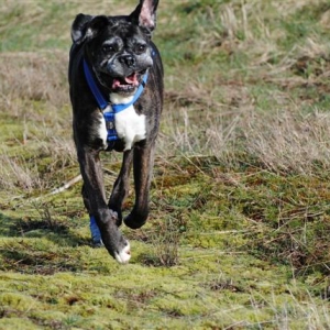 march_2011_136_Small_