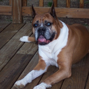 Roscoe