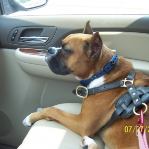 Cruising