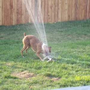 Getting a drink