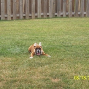 Happy Face