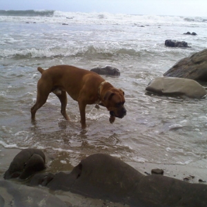 Crab Hunting!
