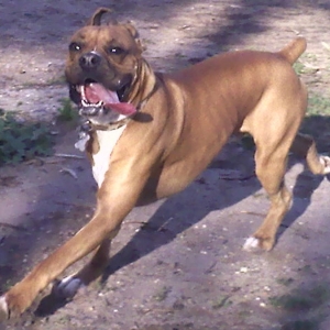 Look at that face!!!!