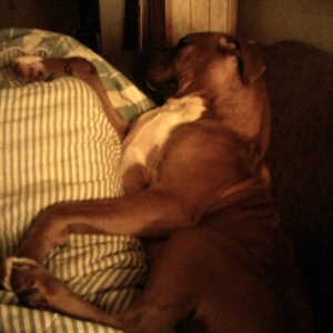 Been a lonnnnng day!