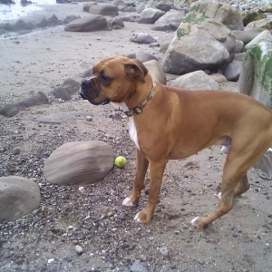 On bird watch at the beach.....