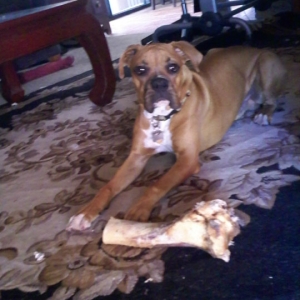Yeah, that's my latest kill.