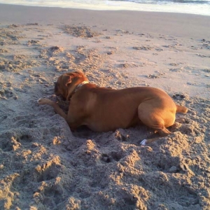 I LOVE the beach!