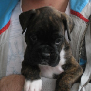 Baby girl 4W