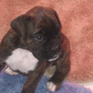 Baby girl
