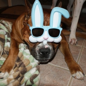 Hurley @ Easter
