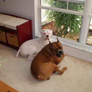 Hurley & Bodie posing