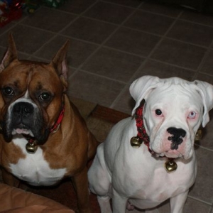 Hurley & Bodie