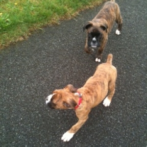 Frank and Roxy