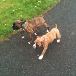 Frank and Roxy