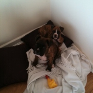 Frank and Roxy