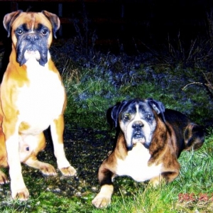 Snuff and Rascal