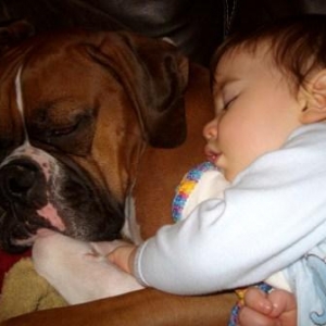 Daniel and Chandler Boxer
