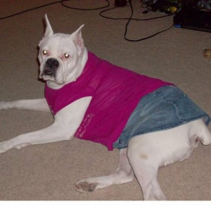 Dezzi doing her best "Me" impression.