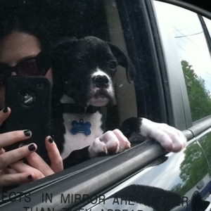 capone_front_seat