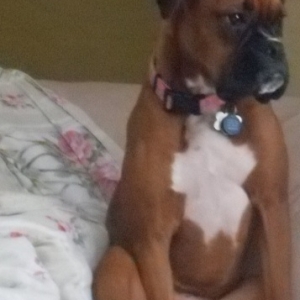 My Girl- Savannah