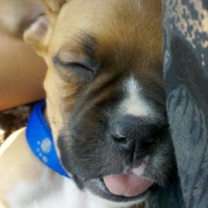 sleeepyy