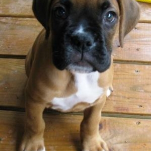 How cute can I be?