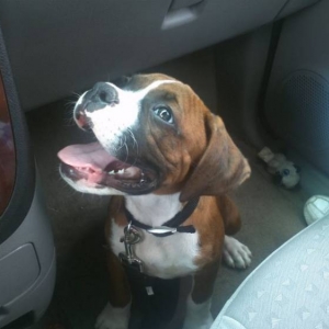 My Handsome Boy