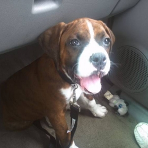 Just look at this face!!!