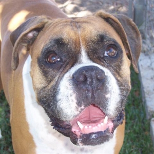 Happy_6_Year_Old_Birthday_Samantha
