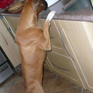 Heidi_supper