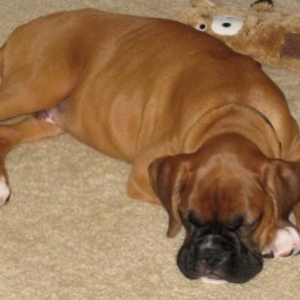 Sleeping