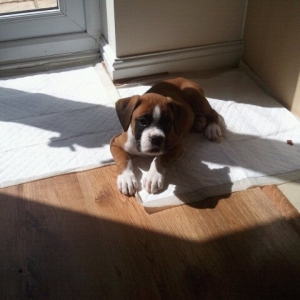 Kaiser Chilling