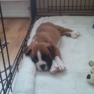 Kaiser Sleeping